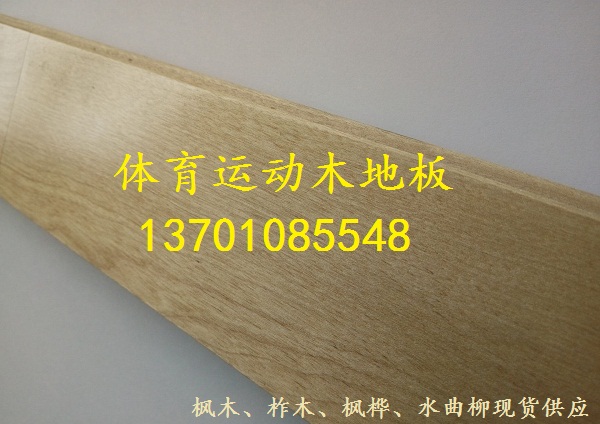 楓樺體育木地板.jpg 楓樺體育木地板.jpg