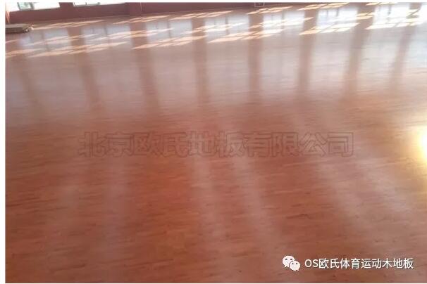 江蘇常州溧陽市南渡鎮(zhèn)體育館運(yùn)動木地板案例