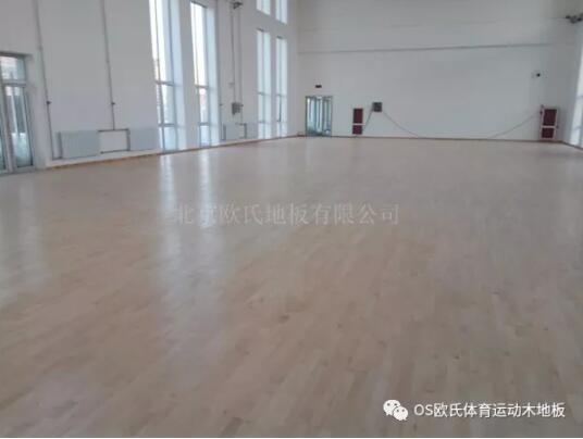 呼和浩特市呼鐵公安局警訓(xùn)基地體育木地板案例