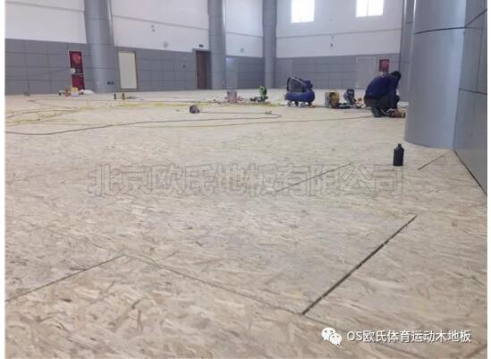 中國(guó)人民銀行玉樹藏族自治州中心支行籃球館木地板案例