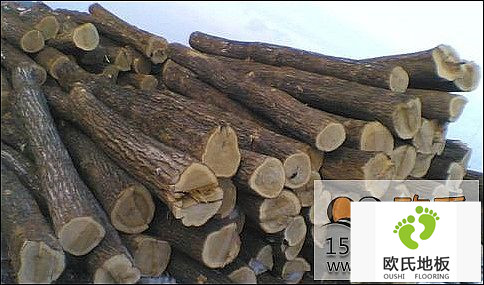 實木運動地板含水率的問題