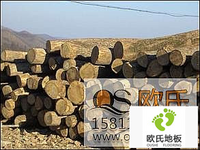 運(yùn)動(dòng)木地板價(jià)格