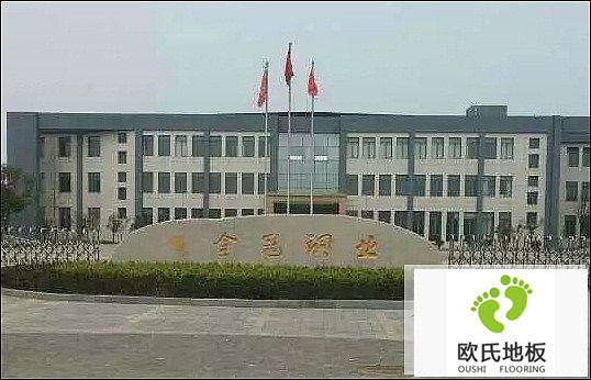 楓木運(yùn)動木地板施工案例-安徽銅陵有色金冠銅業(yè)文體活動中心