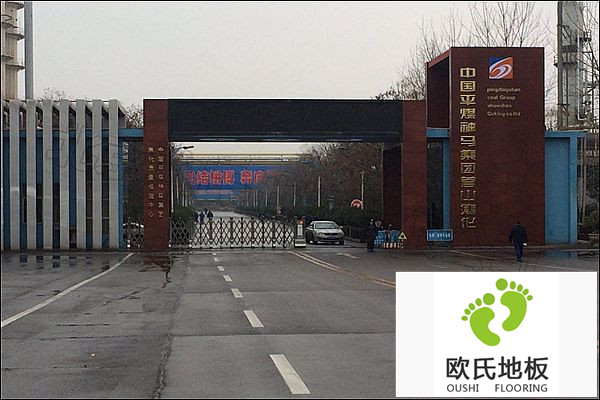 平煤神馬集團(tuán)首山焦化職工俱樂(lè)部運(yùn)動(dòng)木地板成功案例